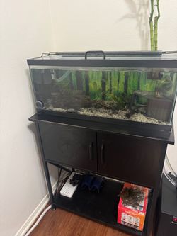 Aquarium Tank & Stand
