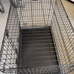 Dog Crate 