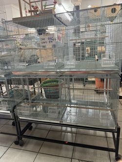 Bird cages