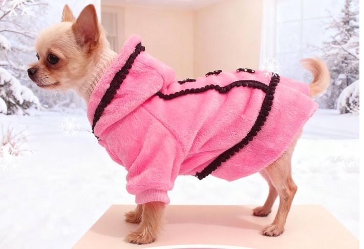 Pink Small Dog Hooded Sweater Dress