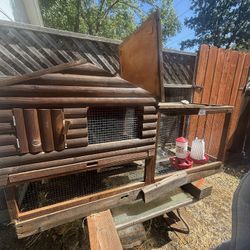 Chiken Quail Coop 