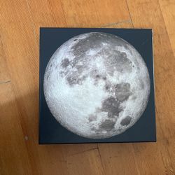 Puzzle - The Moon, 1000 Pieces 