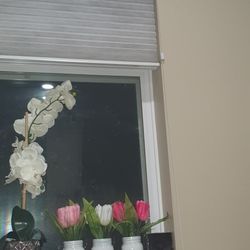 2 Flower Pots Available 