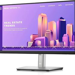 Dell Monitor (x2) P2222H