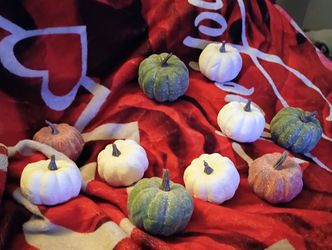 Mini Decorative Pumpkins Set of 10