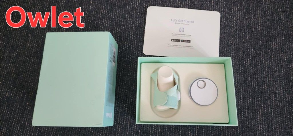 Owlet Dream Sock - Mint