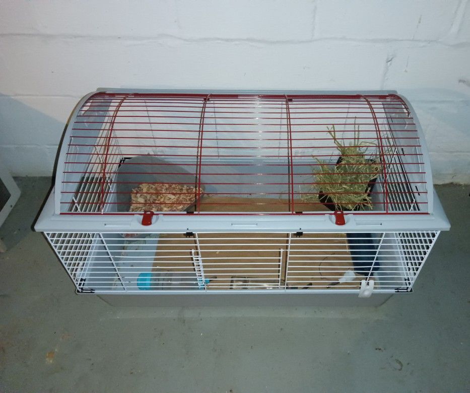 Small Animal Cage + Supplies