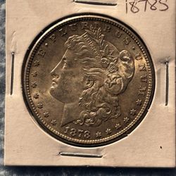 1878s Morgan  Grade Your Self