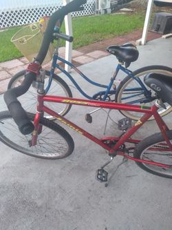 Selling Two Jamis Cruiser's Together One Earth And Boss