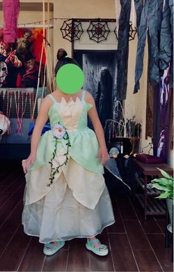 Princess Tiana  costume/Halloween Party Dress Up/ Role Play Dress (10-11 years)