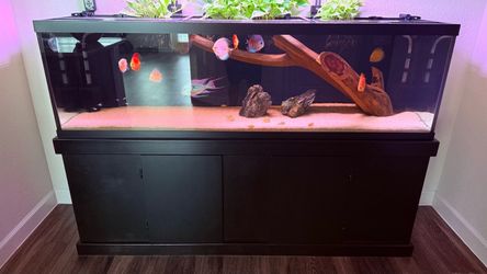 125G AQUARIUM AND STAND ONLY.