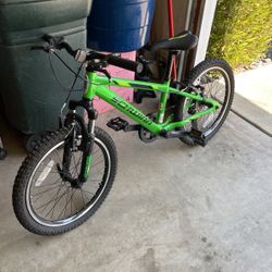 Schwinn 20” Thrasher