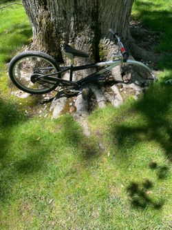 20” tag along bike (connection Bracket included)