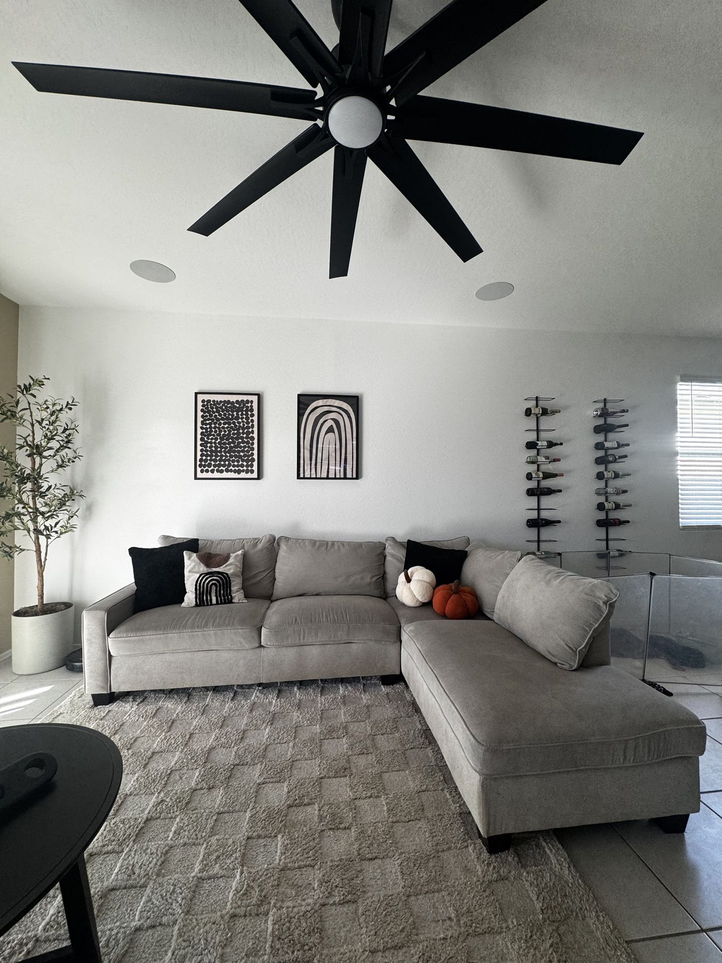 Living Spaces Couch