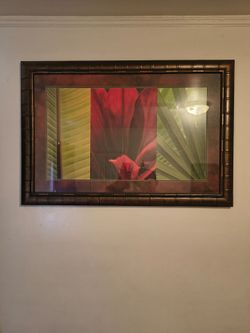 Beautiful Framed Tropical Floral Wall Art