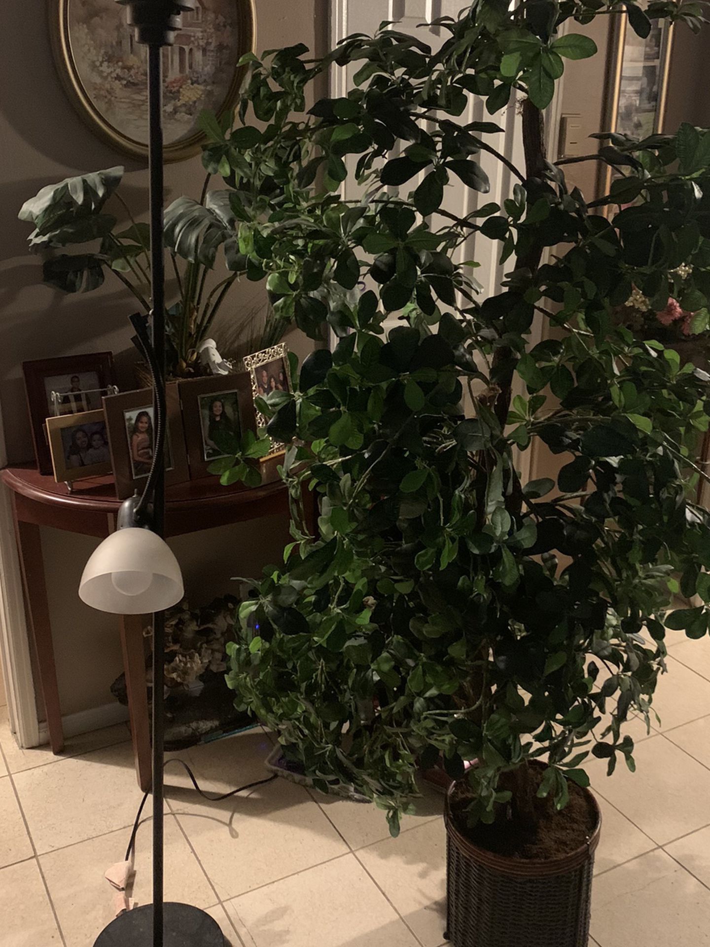 Large Plant (ON HOLD)