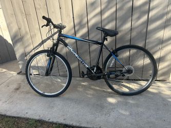 Roadmaster Bike