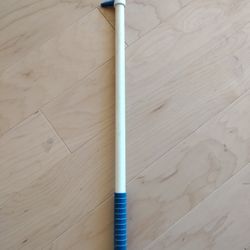 Pool Filter Cleaning Wand