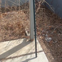 Stakes 