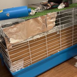 Guinea Pig Cage