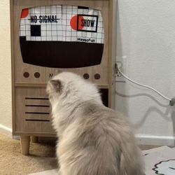 Cat TV House Wooden Cat Condo Cat Bed for Indoor Cats Sturdy Luxury Cat TV Furniture with Cat Scratcher and Storage Space