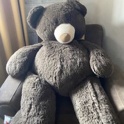 Life sized human teddy bear 