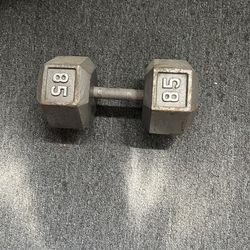 Two 85 Pounds Dumbbells 