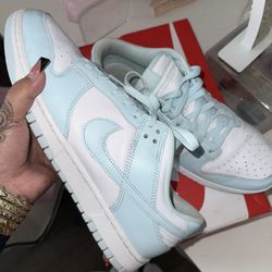 SIZE 11 Nike Mens Dunks