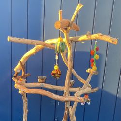 Macaw Perch Tree…. Dual Level With A Compact Base Fits Most Anywhere ! Gnarly Macaw Fun ! 