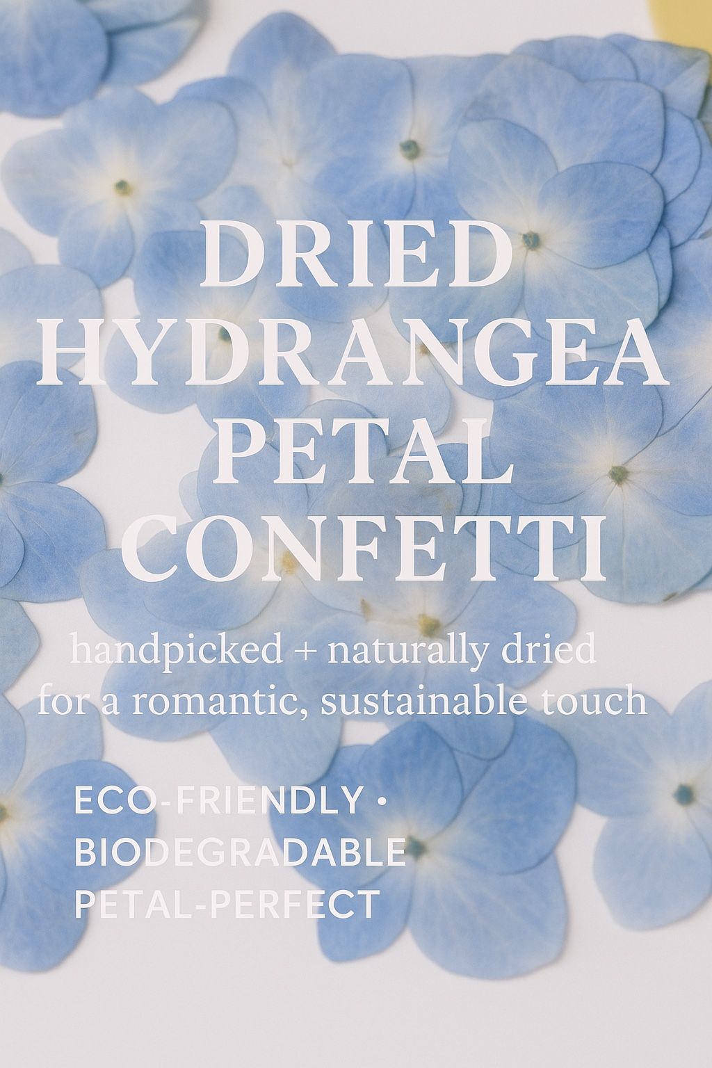 Hydrangea confetti