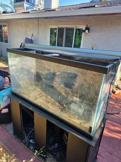 85 gallon tank used