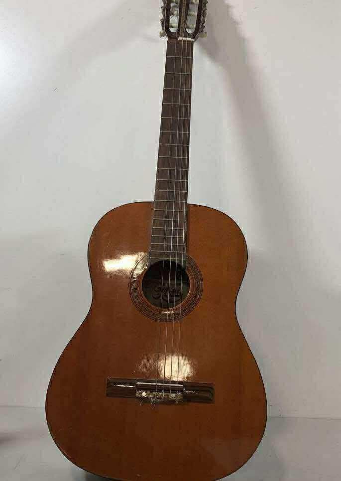 Hondo Acoustic Guitar 
