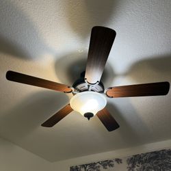 Ceiling Fan with Light – Excellent Condition