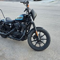 2019 Harley davidson Xl1200
