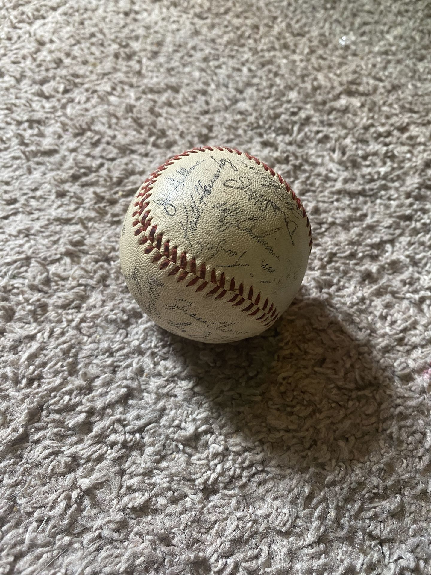 Baseball Signed By An Entire Team