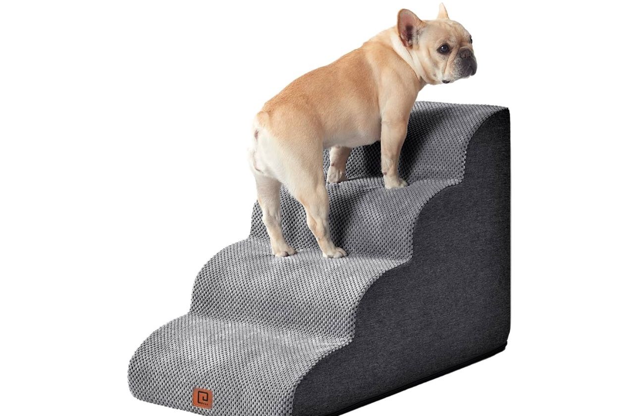 Pet Strairs