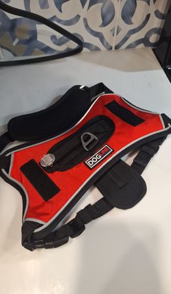 Small Pet Harness And Leash Set