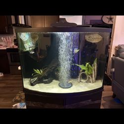 38 Gallon Tank And Stand 