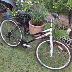 Woman Bike Exellent Condition Firm 
