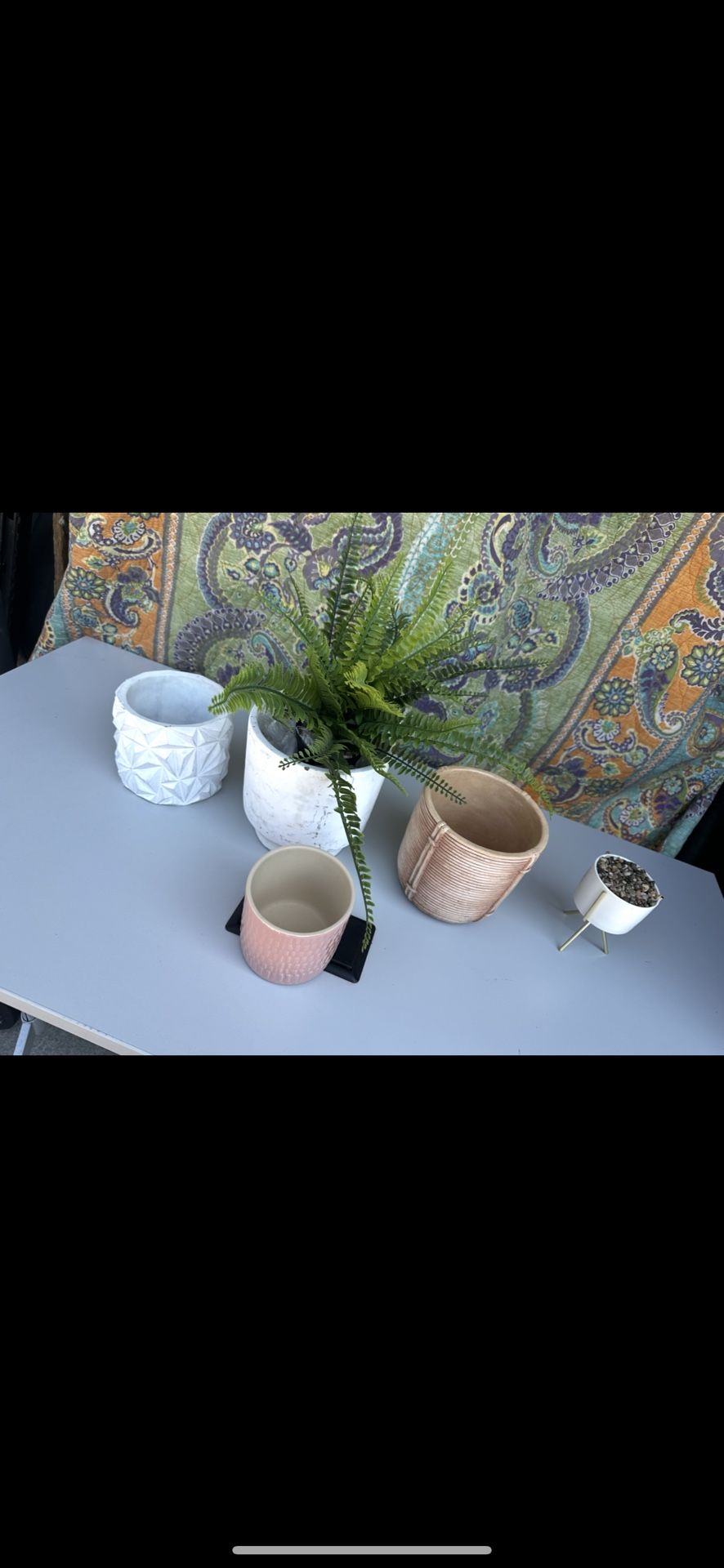 Pots For Plants Vase For Plants