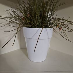 Artificial Plant