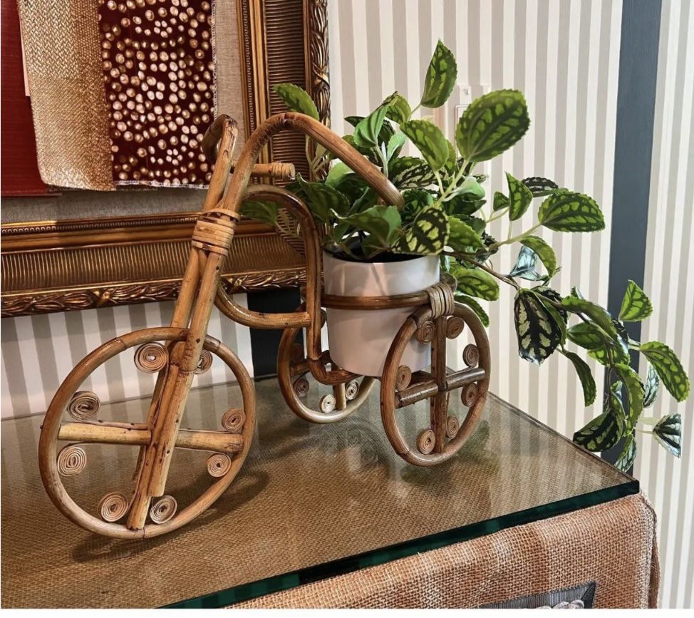 Vintage Bamboo Plant Start Bicycle