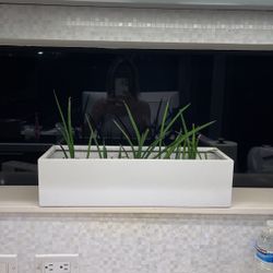 Jay Scott Rectangle Vases 