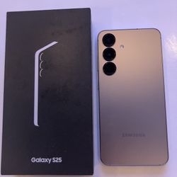 Samsung 25 S