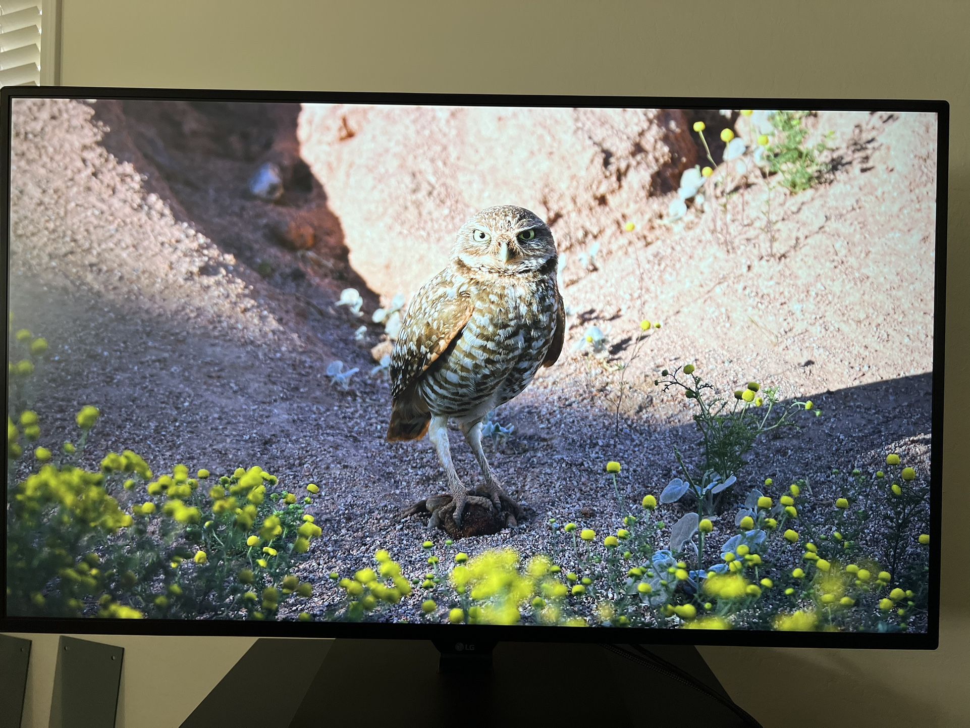 43” LG 4k 60hz Monitor 43UN700-B