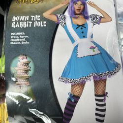Alice In Wonderland Costume