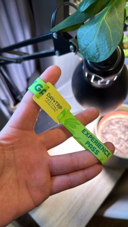 2 Day GA Day Trip wristband