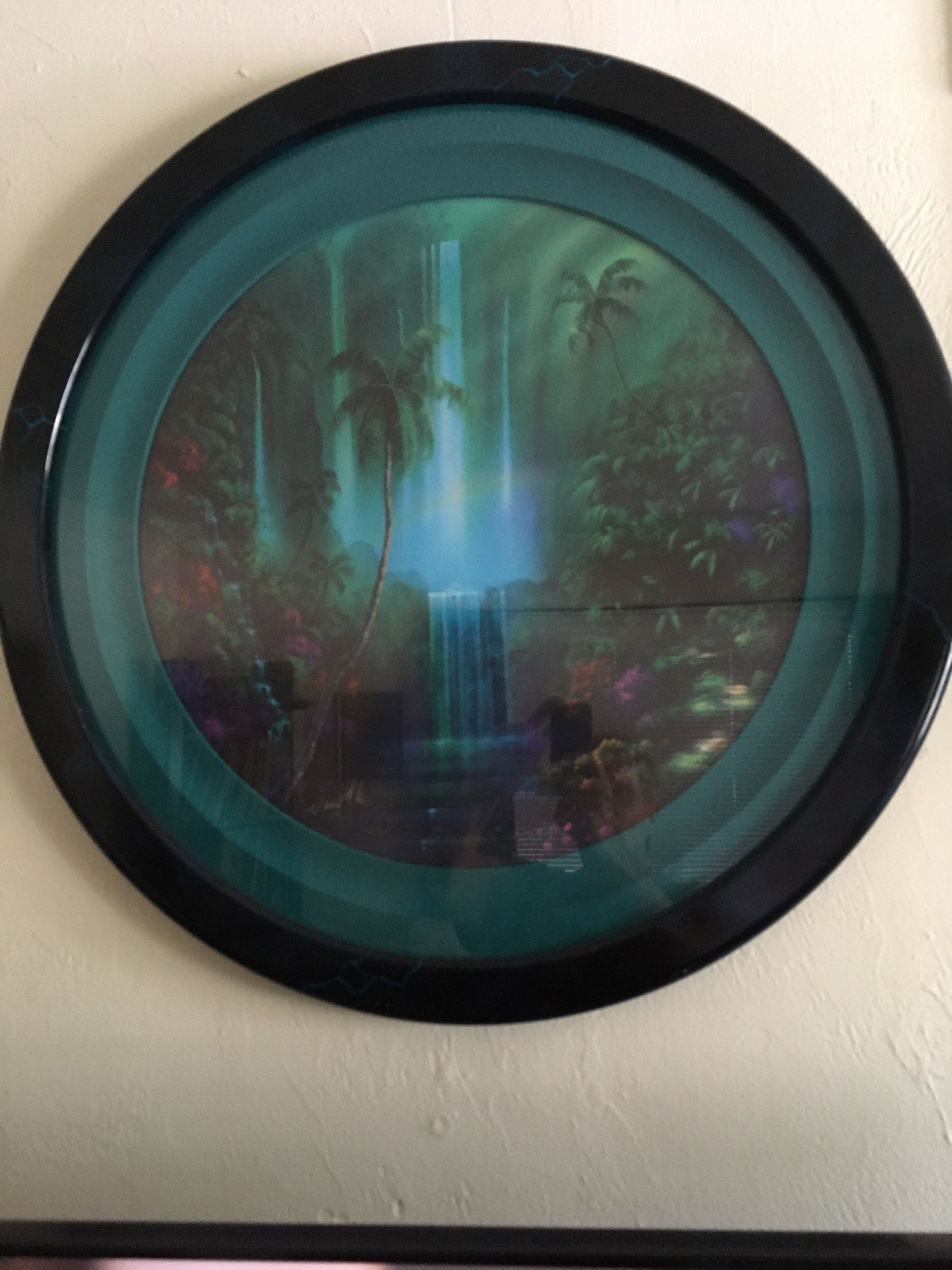 David Miller VIVID SPLENDOR 額装アート A David Miller tropical splendor print in round frame measures 29