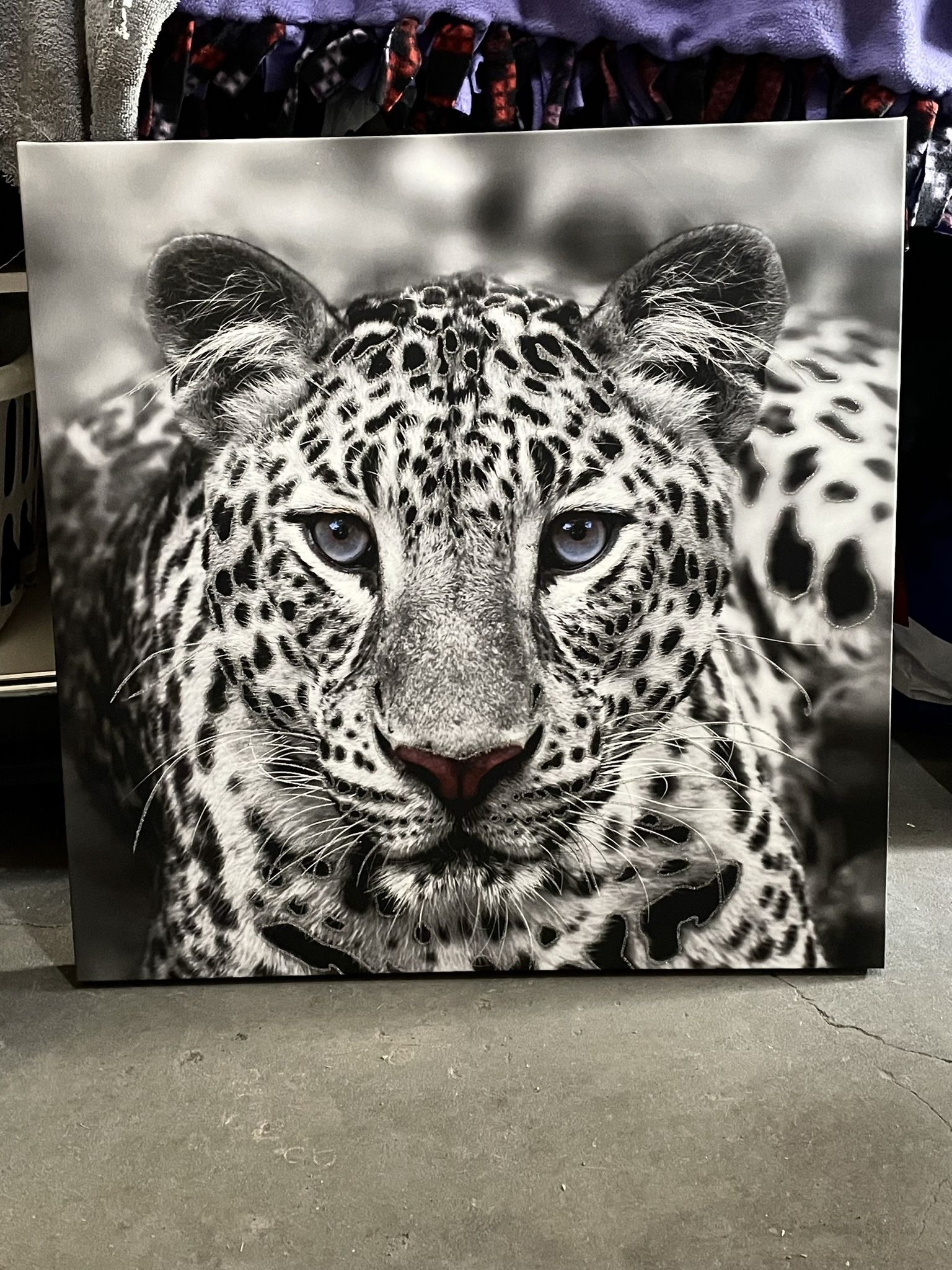 Leopard (purple eyes and shine)