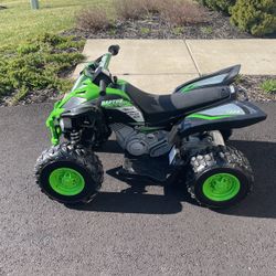 Yamaha Raptor Power 4 Wheel
